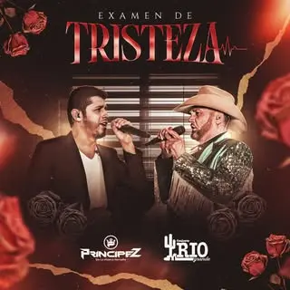 Principez