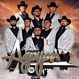 Portada de Banda Aguijón De Durango