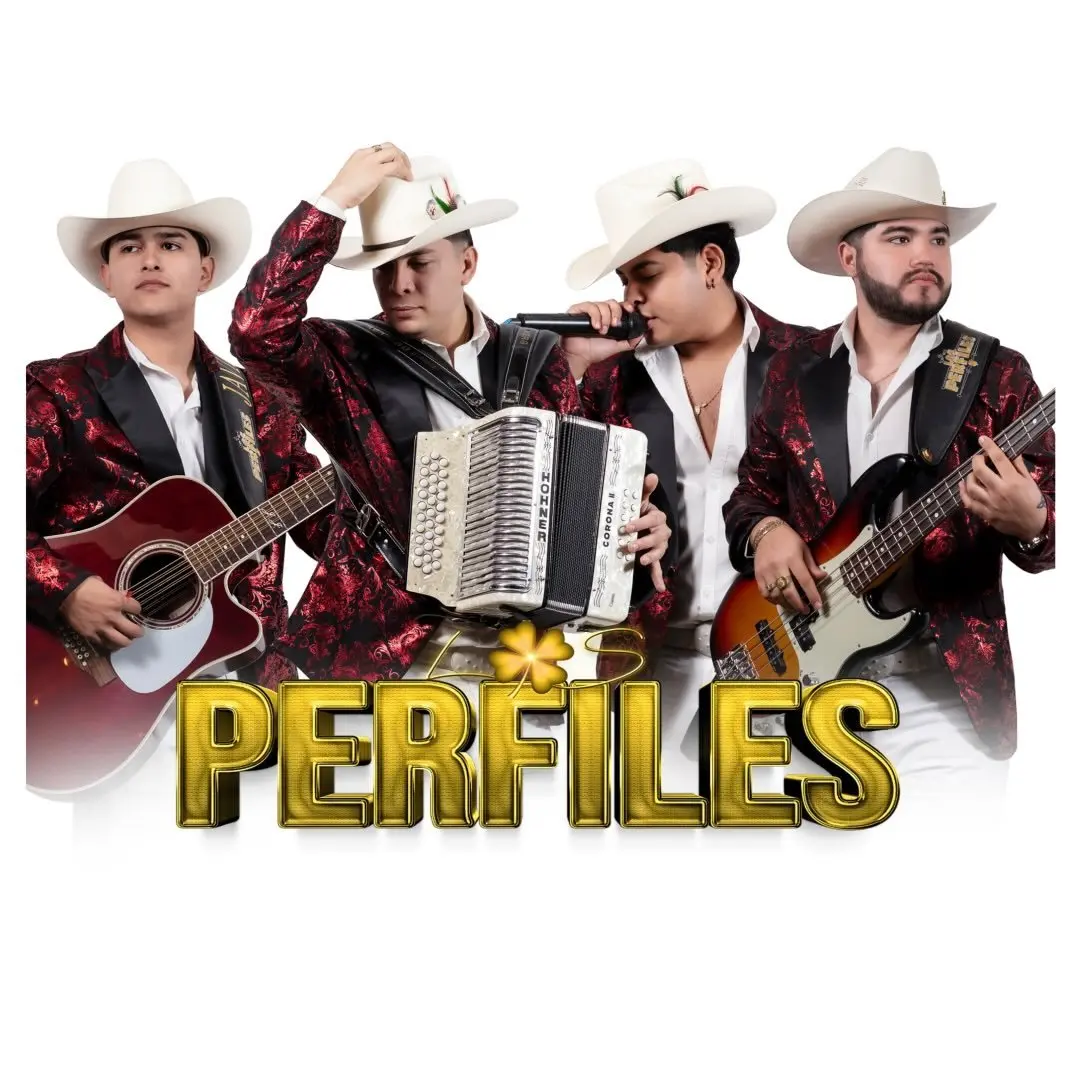 Los Perfiles