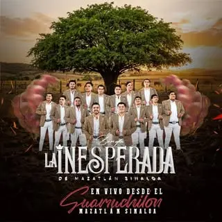 Portada de La Inesperada de Maza