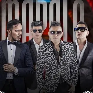 Portada de Grupo Mapale