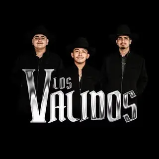 Portada de LosValidos