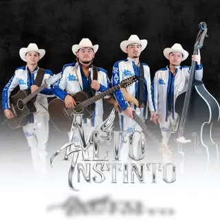 Portada de Alto Instinto