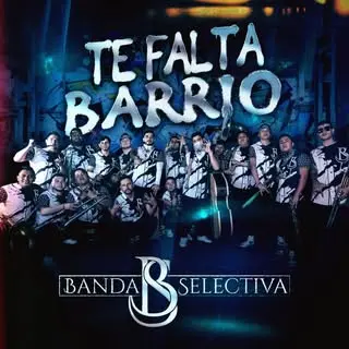Portada de Banda Selectiva