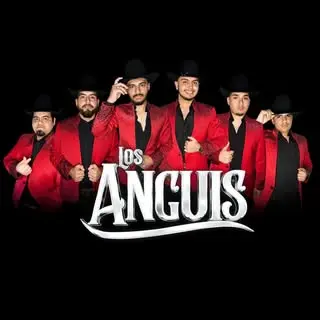 Portada de Los Anguis