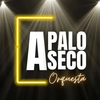 Portada de A Palo Seco | Orquesta | Bodas | Eventos | Barranquilla