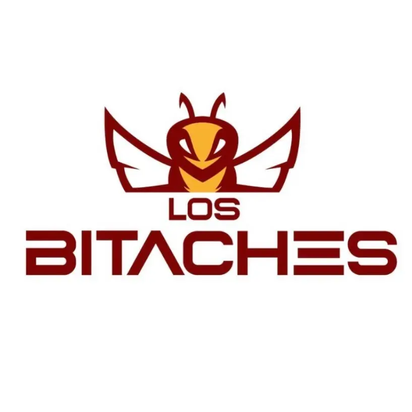 Los Bitaches