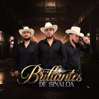 Portada de Los brillantes