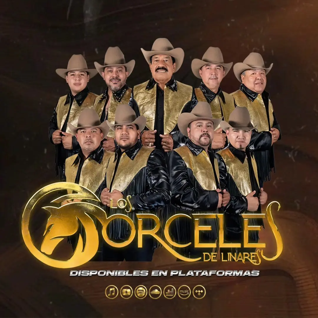 Corcelesdelinares