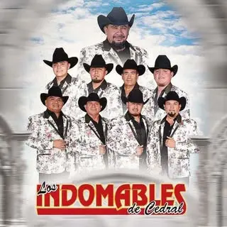 Portada de Los Indomables De Cedral Oficial