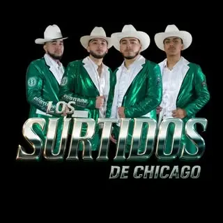 Los Surtidos De Chicago