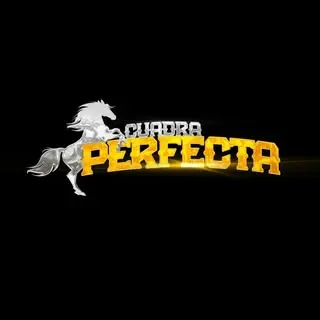 Portada de Cuadra Perfecta