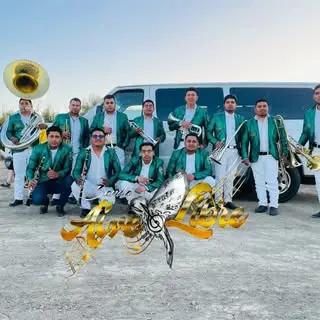 Portada de BANDA AIRE LIBRE-official