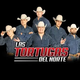 Portada de Tortugas 🐢🔥🔥
