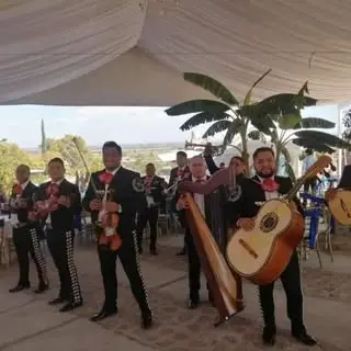 Portada de Mariachi Juvenil Arperos