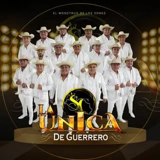 Portada de Banda La Única de Guerrero