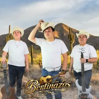 Portada de Bertinazos