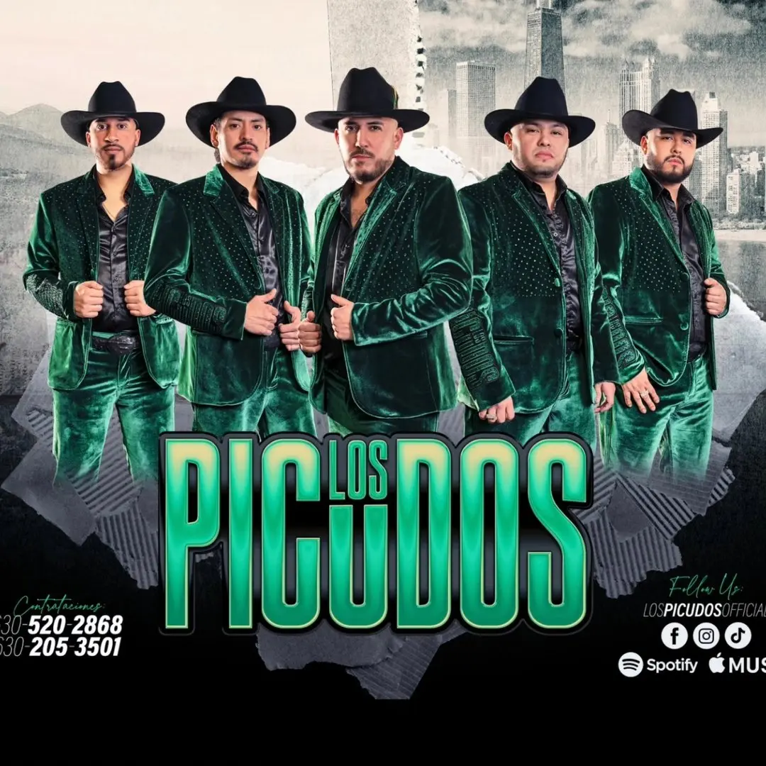 Portada de Los Picudos
