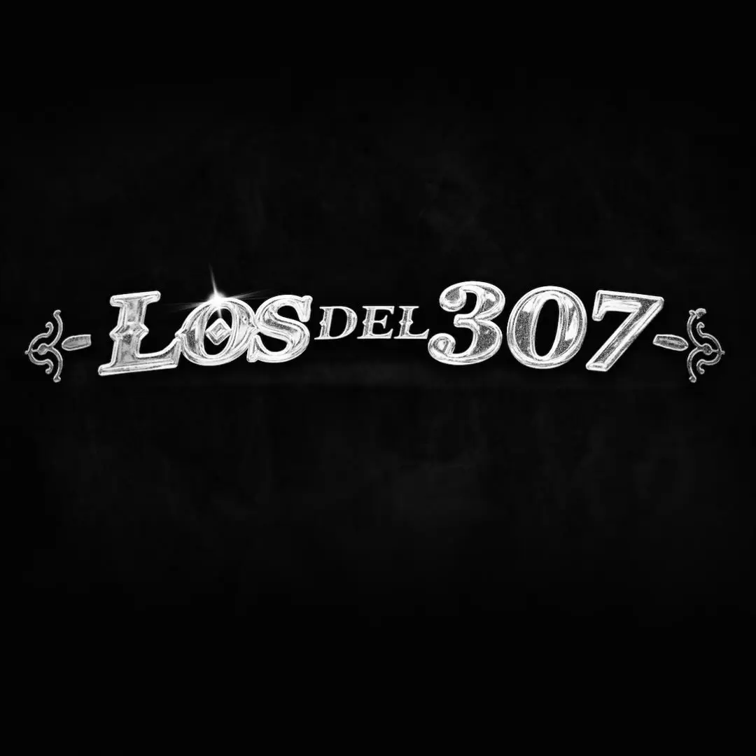 Portada de Los Del 307