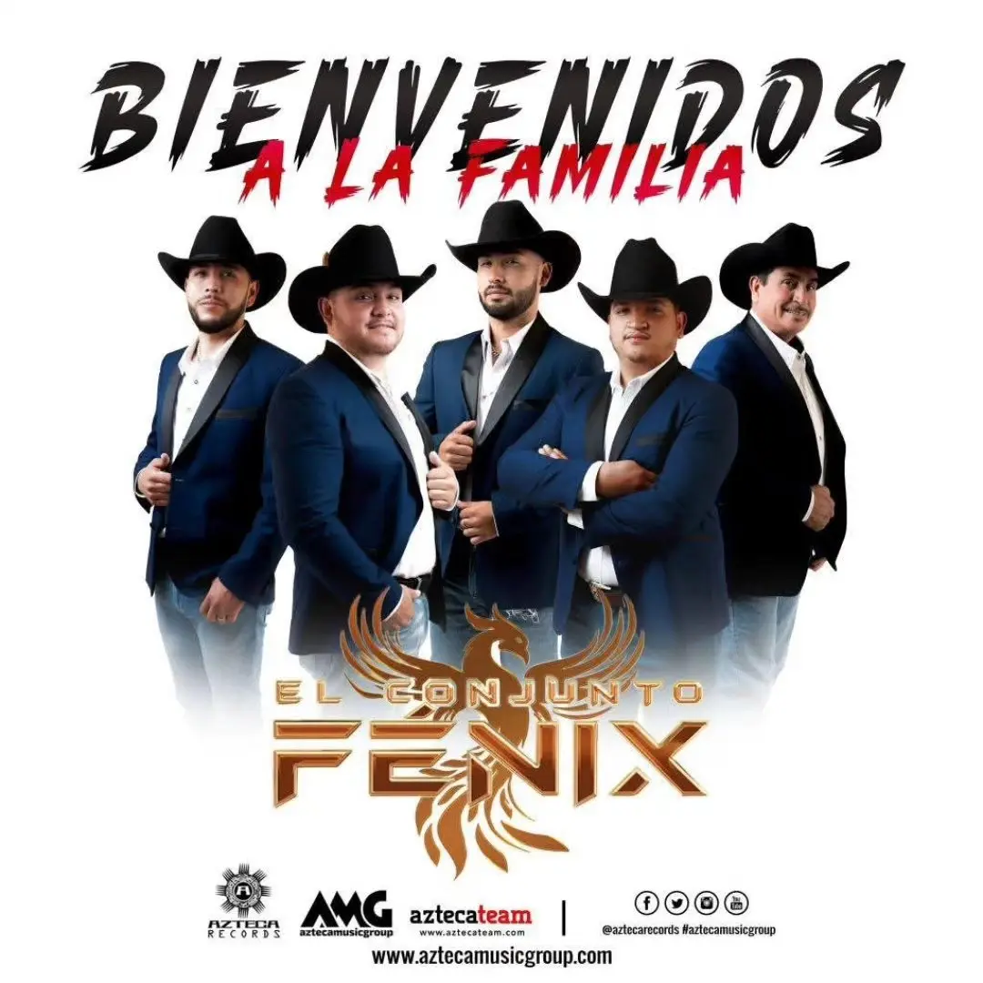 Conjunto Fenix