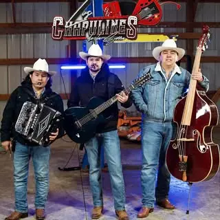 Portada de Los chapulines