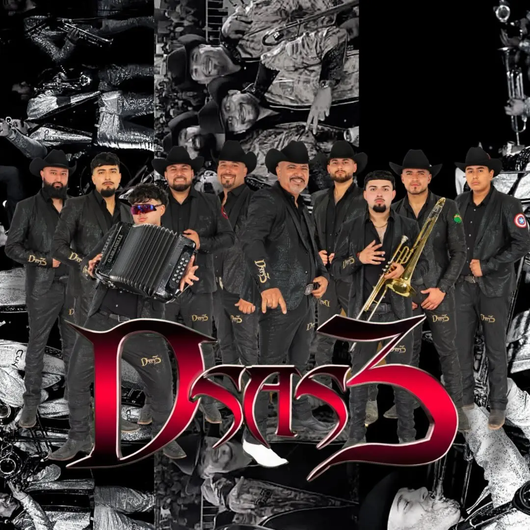 Portada de Dsas3